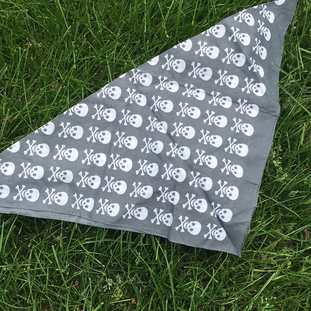 🚫Donated🚫 Scull & Crossbones Bandanna